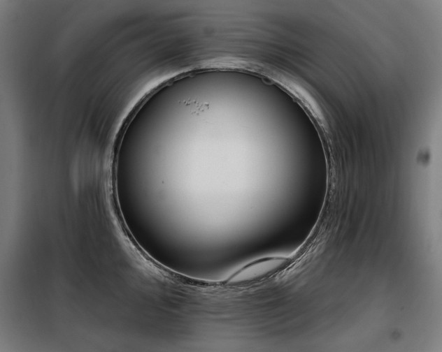X0000098091000200804041216