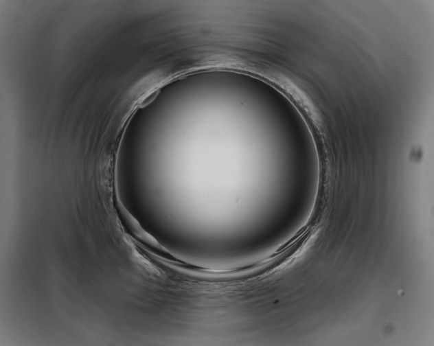 X0000098091001200804041216