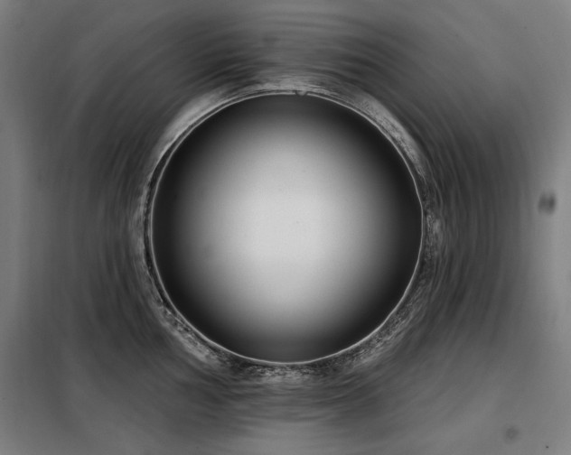 X0000098091002200804041215