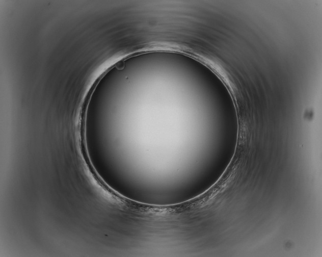 X0000098091003200804041215