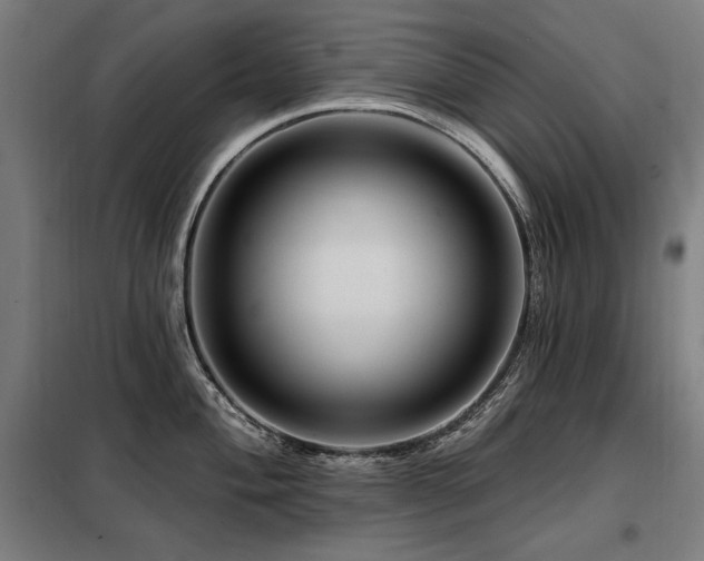 X0000098091004200804041215