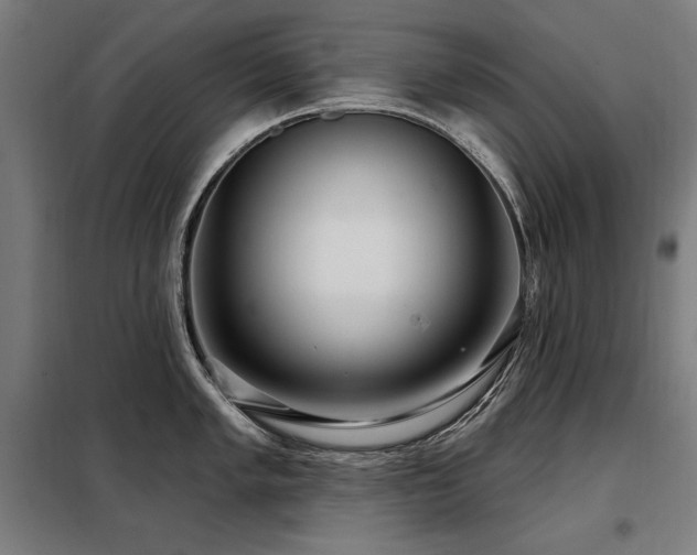 X0000098091005200804041215