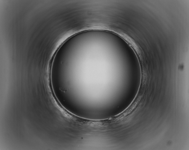 X0000098091006200804041215