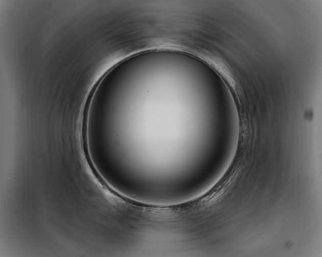 X0000098091007200804041215