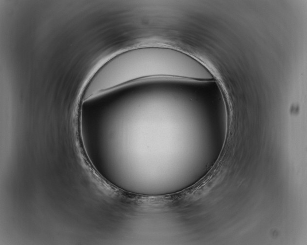X0000098091008200804041215