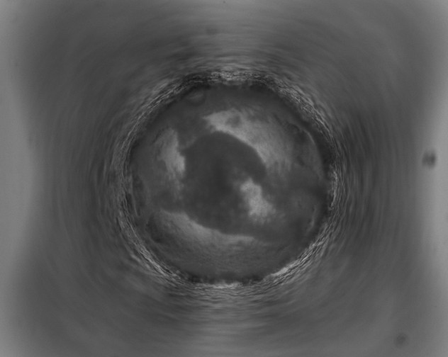 X0000098091009200804041215
