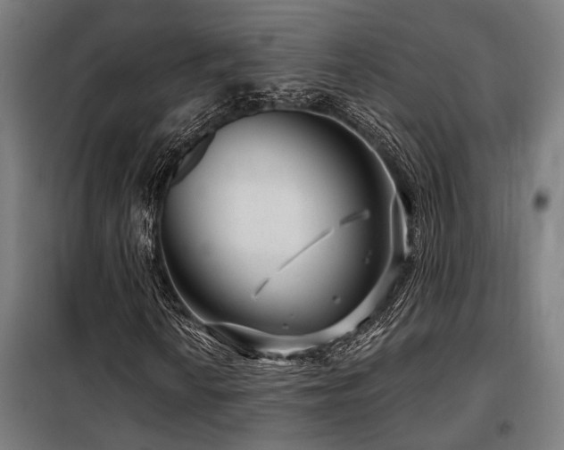 X0000098091010200804041215