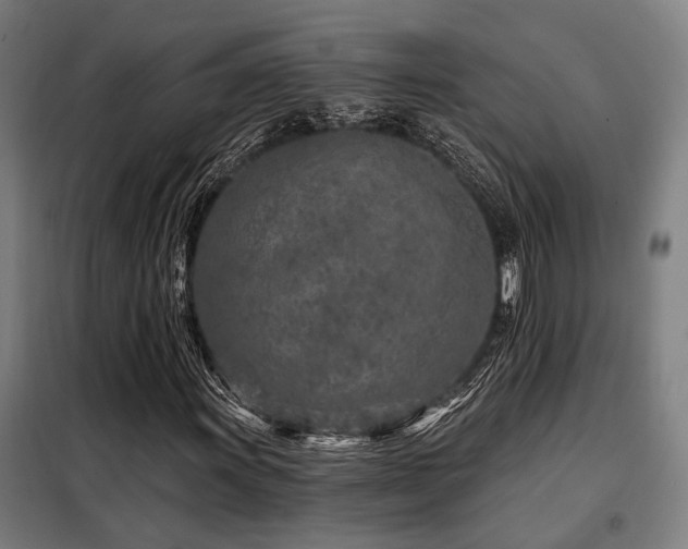 X0000098091011200804041215