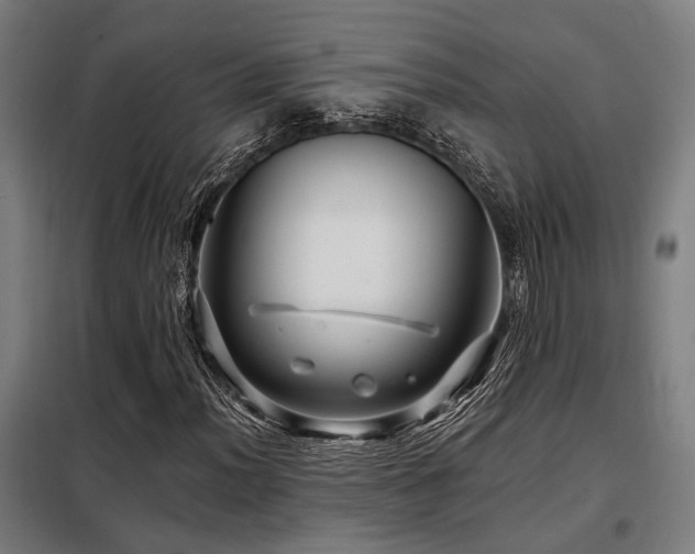 X0000098091012200804041215