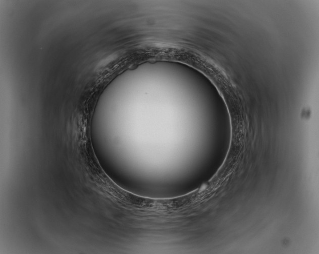 X0000098091013200804041215
