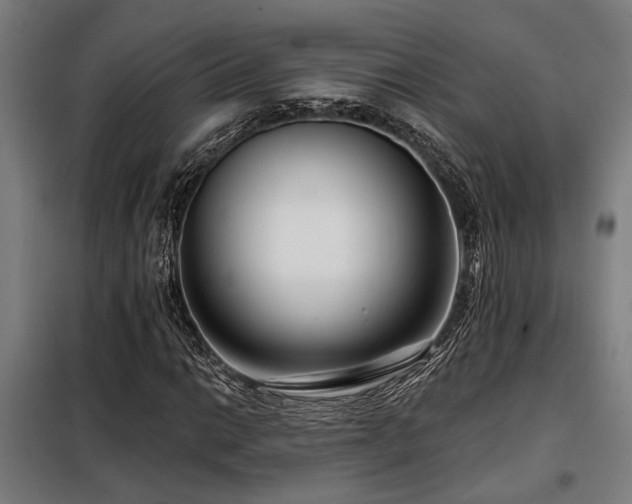 X0000098091014200804041215
