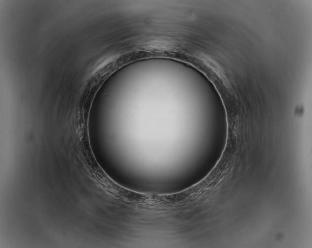 X0000098091015200804041215