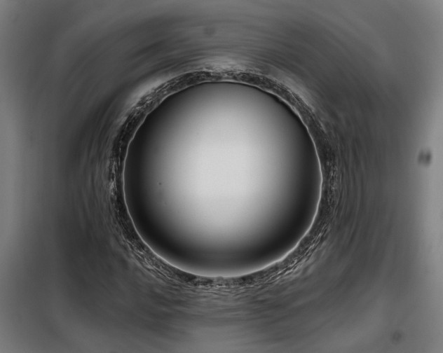 X0000098091016200804041215