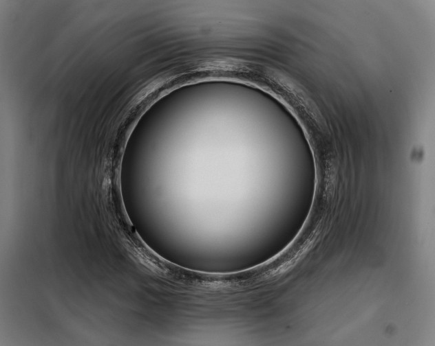 X0000098091017200804041215