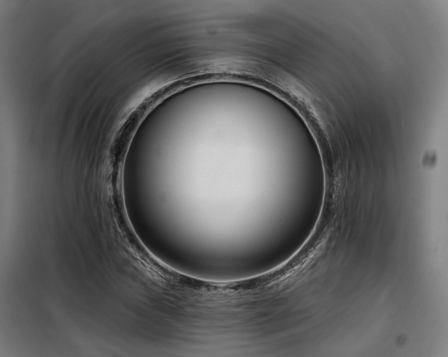 X0000098091019200804041215