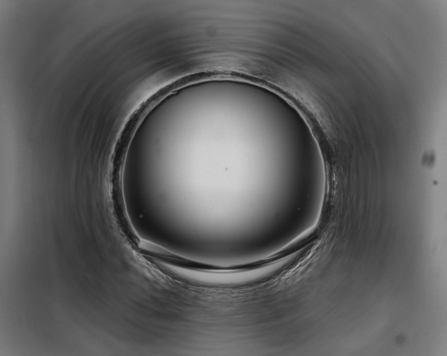 X0000098091020200804041215