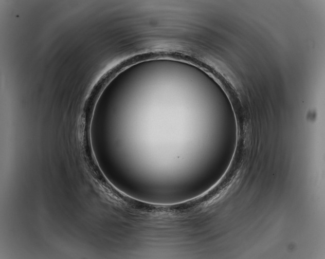 X0000098091021200804041215