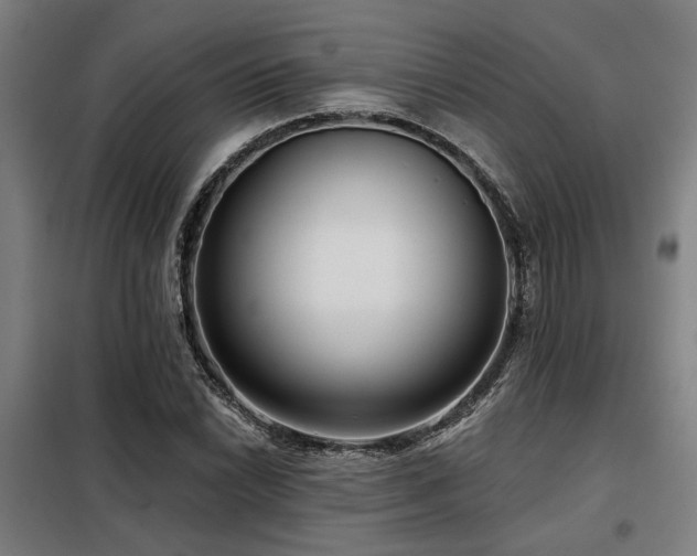 X0000098091022200804041215