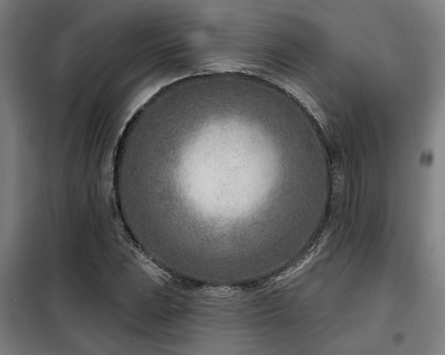 X0000098091023200804041215