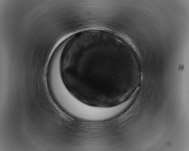 X0000098091024200804041215