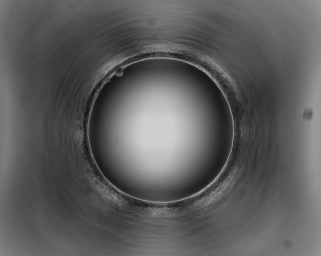 X0000098091025200804041215
