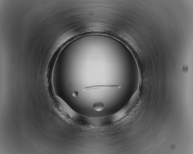 X0000098091026200804041215