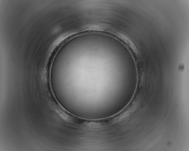 X0000098091027200804041215
