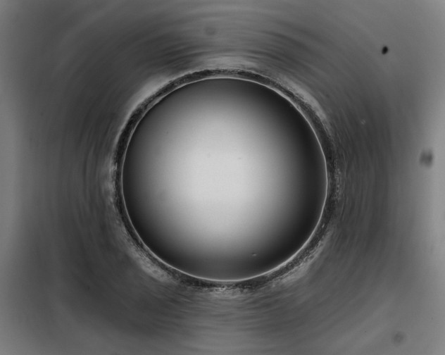 X0000098091029200804041215
