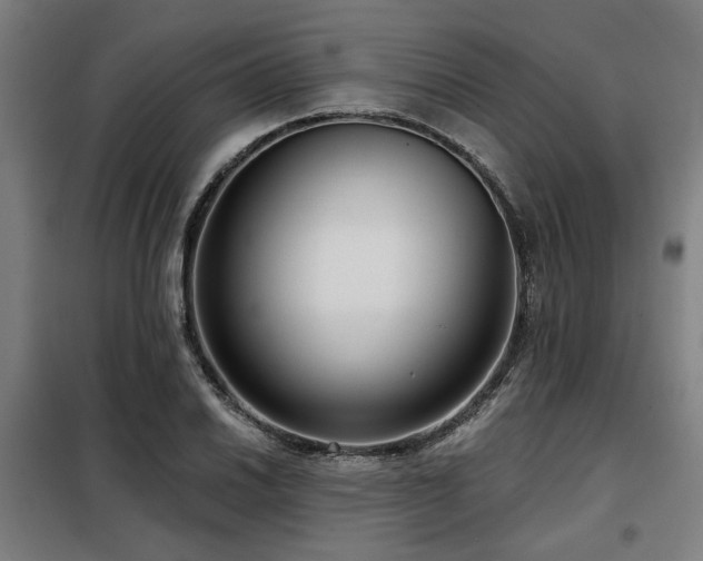X0000098091030200804041215