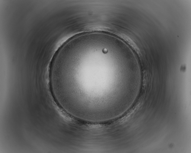 X0000098091031200804041215