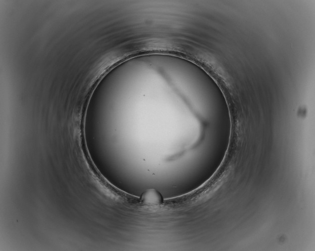 X0000098091033200804041215