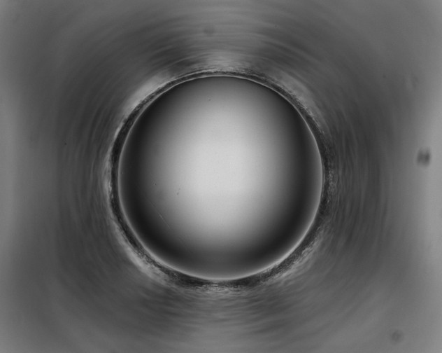 X0000098091034200804041215