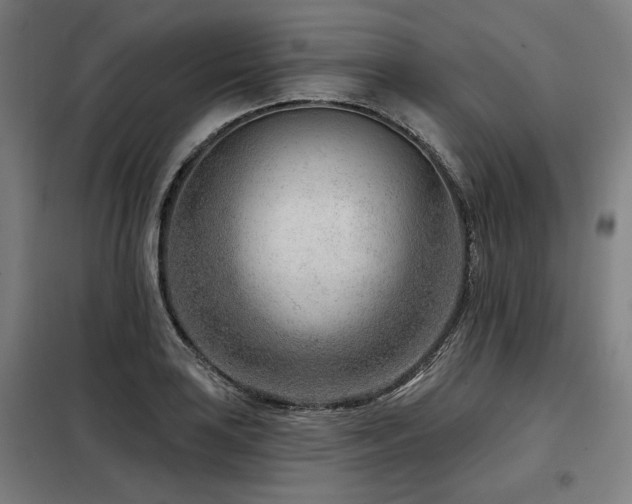 X0000098091035200804041215