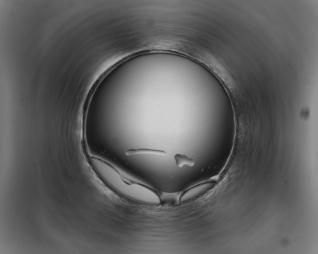 X0000098091036200804041215