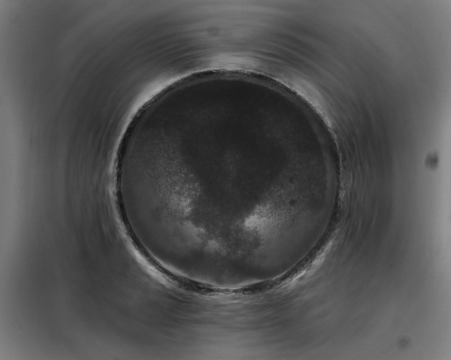 X0000098091037200804041215