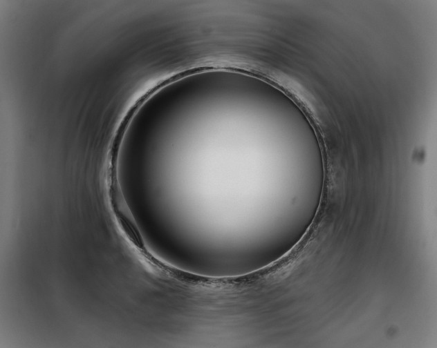 X0000098091040200804041215