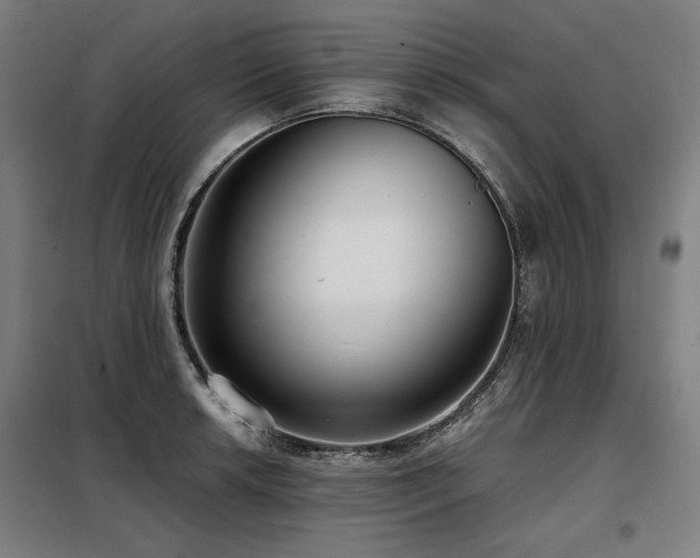 X0000098091042200804041215