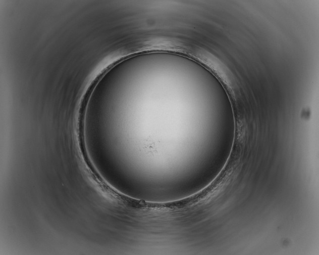 X0000098091043200804041215