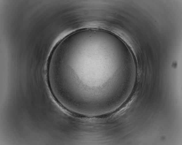 X0000098091045200804041215