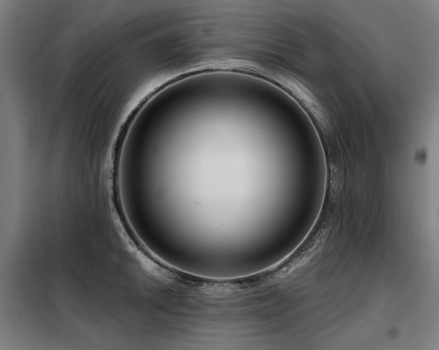 X0000098091046200804041215