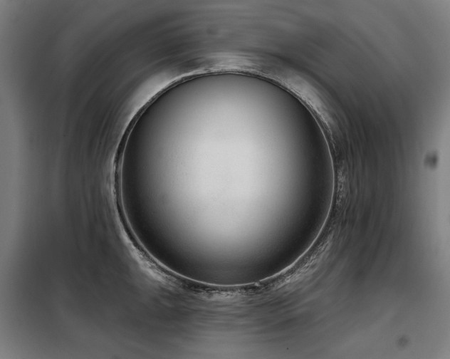 X0000098091047200804041215
