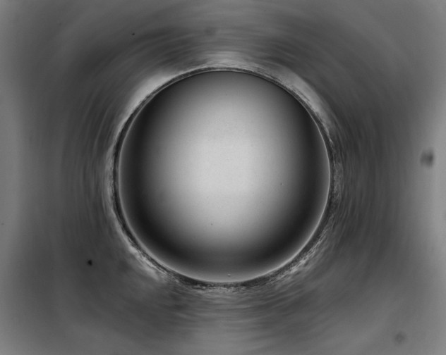 X0000098091048200804041215
