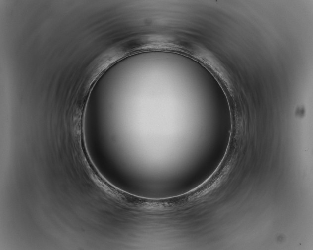 X0000098091049200804041215