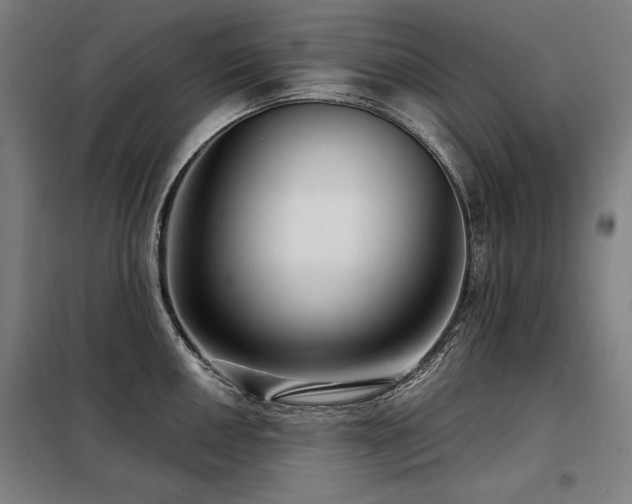 X0000098091050200804041215