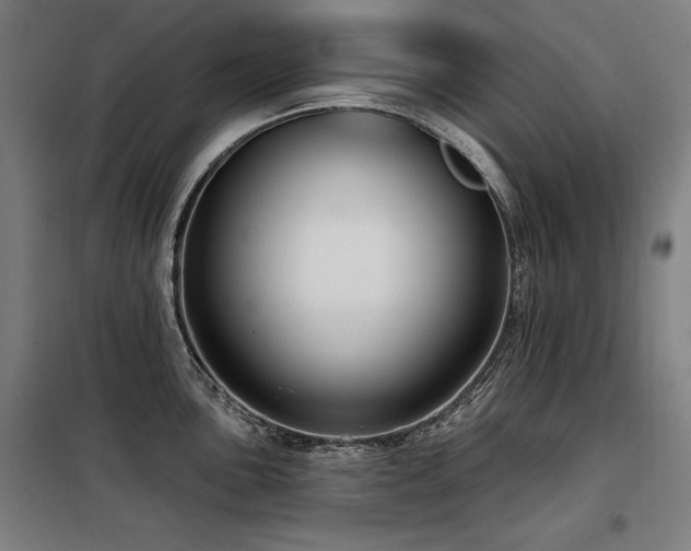 X0000098091051200804041215