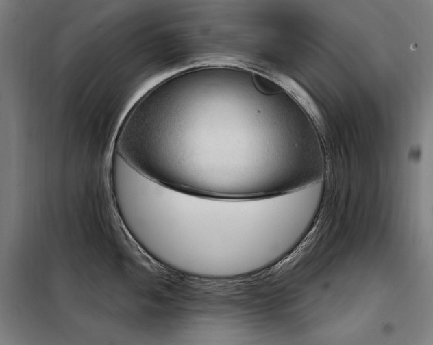 X0000098091052200804041215