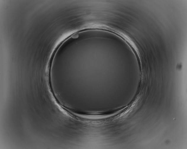 X0000098091053200804041215
