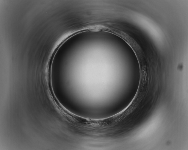 X0000098091054200804041215