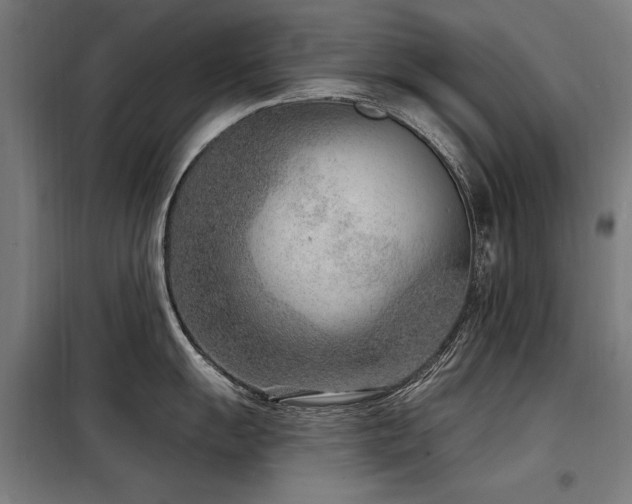 X0000098091055200804041215