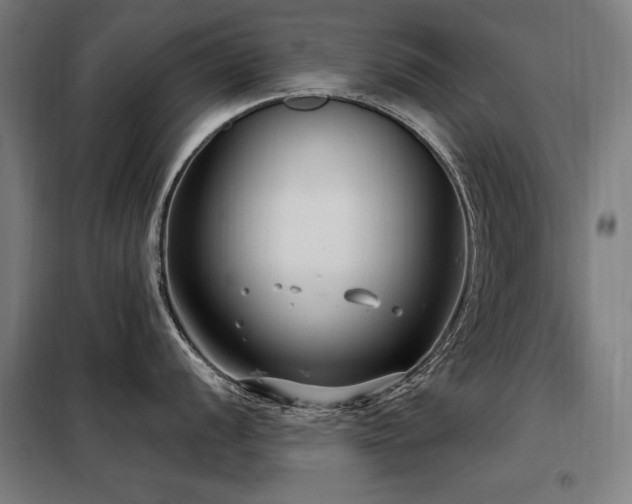 X0000098091056200804041215